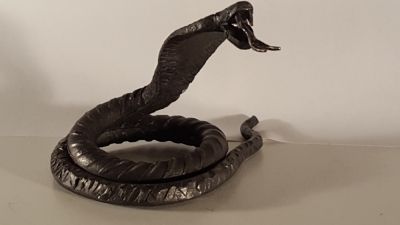 Cobra